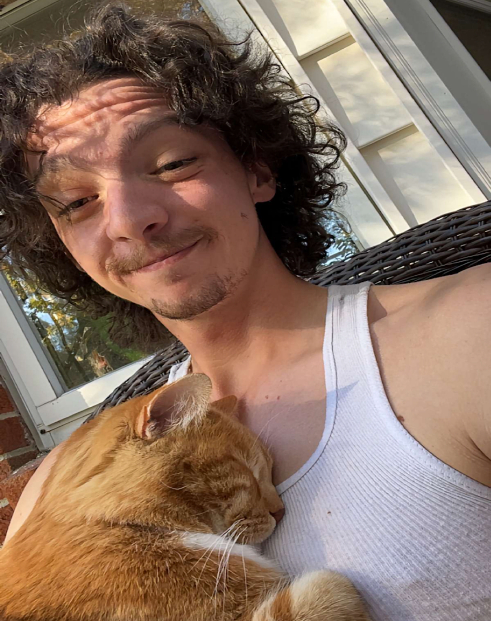 An Orange Cat Gets a Home