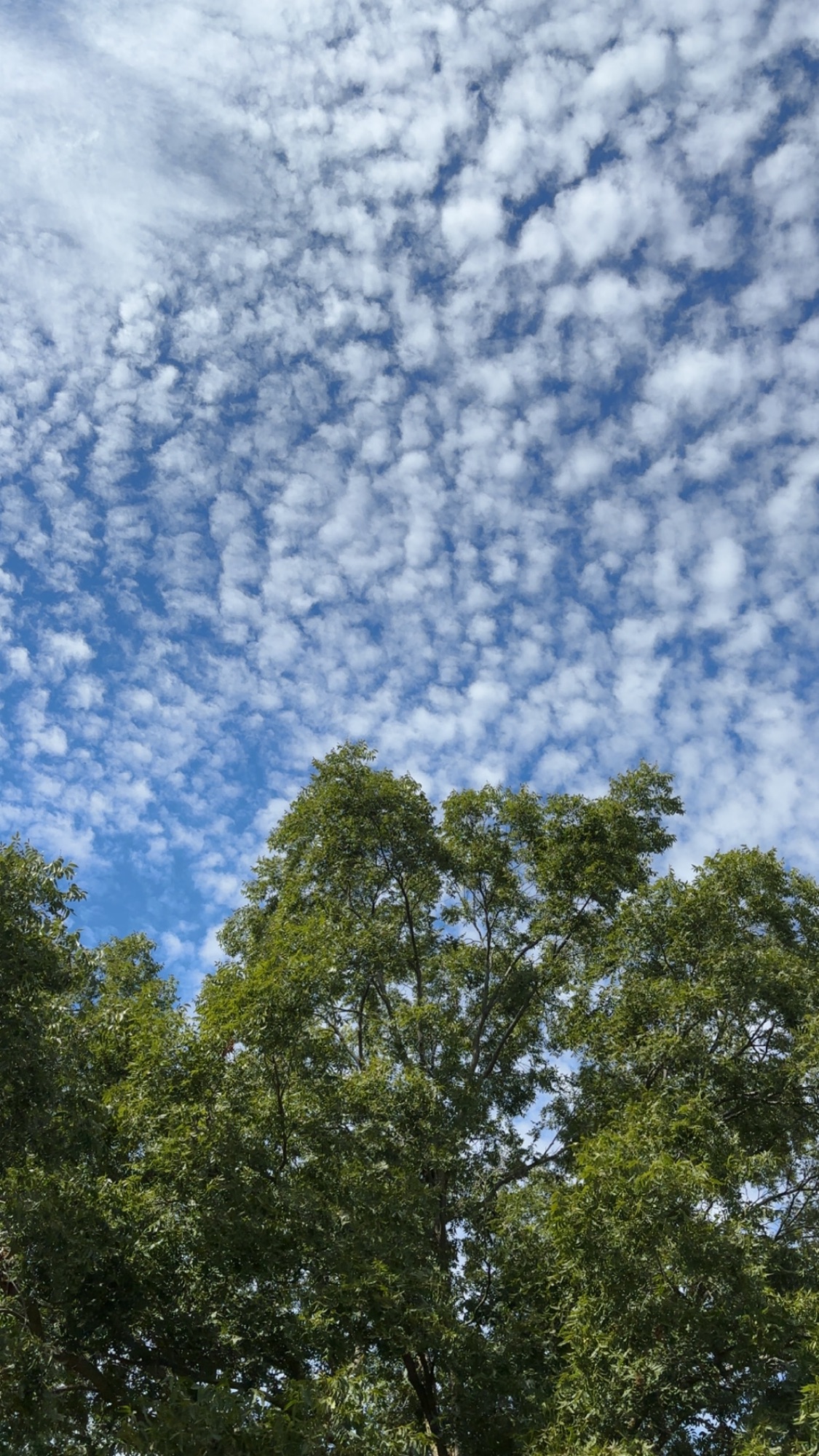 Photography and Mindfulness