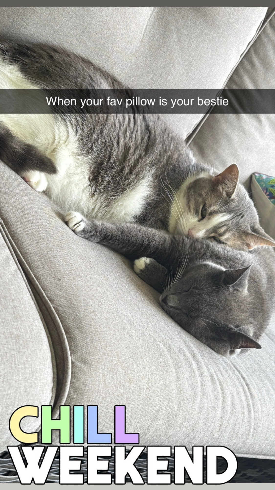 Spiritual Friendship